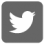 Twitter Logo