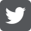 Twitter Logo